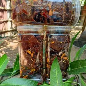 রাজশাহীর বিখ্যাত স্পাইসি ম্যাংগোবার টক-ঝাল-মিস্টি ও টক-মিস্টি