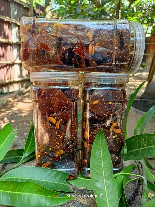 রাজশাহীর বিখ্যাত স্পাইসি ম্যাংগোবার টক-ঝাল-মিস্টি ও টক-মিস্টি